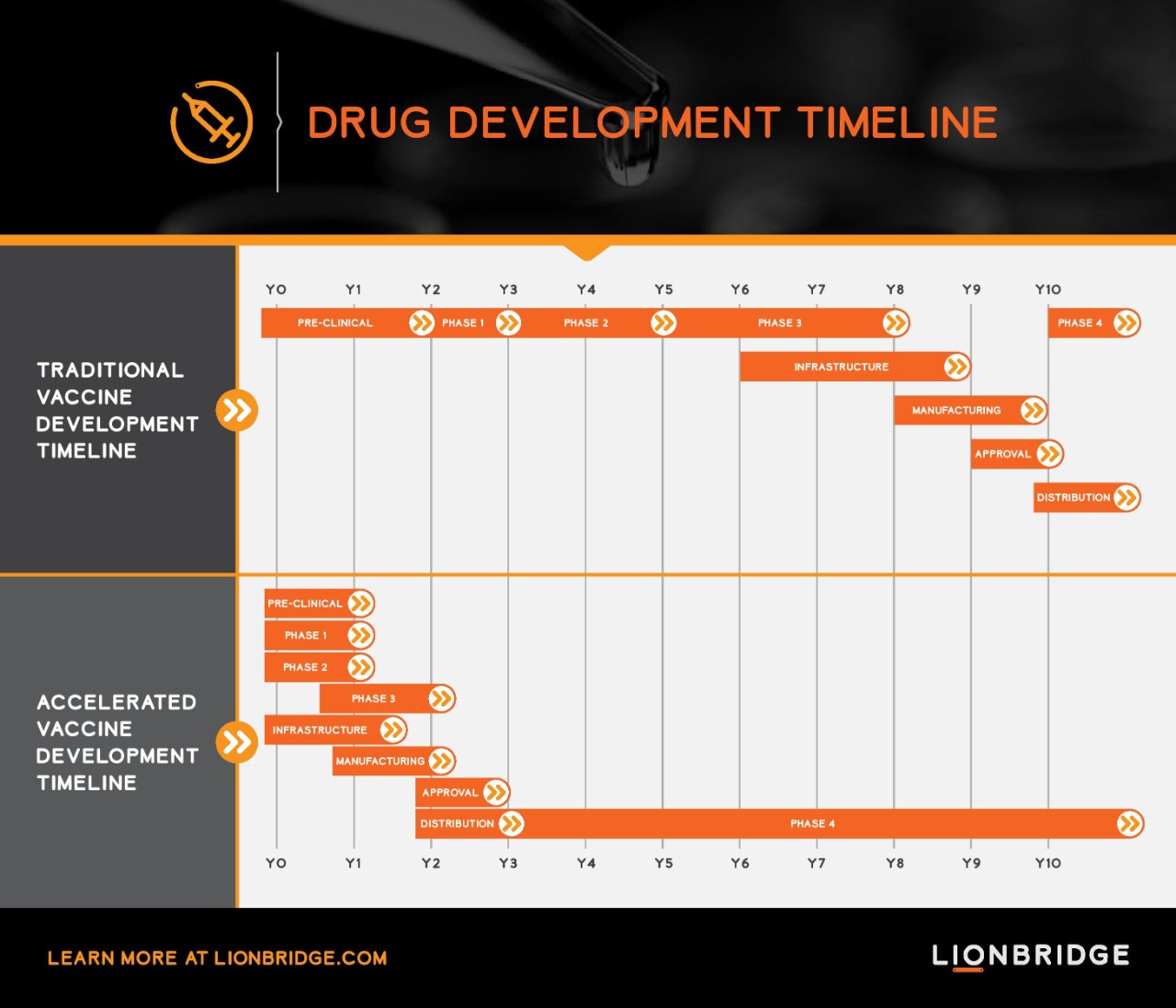An infographic on clinical trial timelines