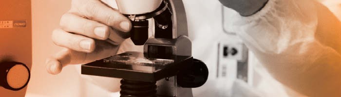 un investigador ajustando un microscopio